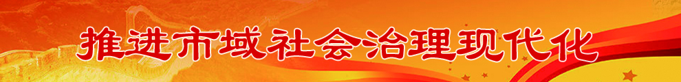推进市域社会治理现代化