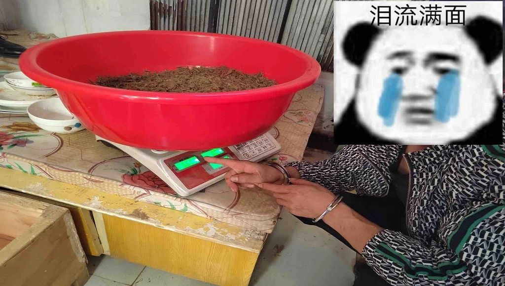 微信图片_20240830170301.jpg