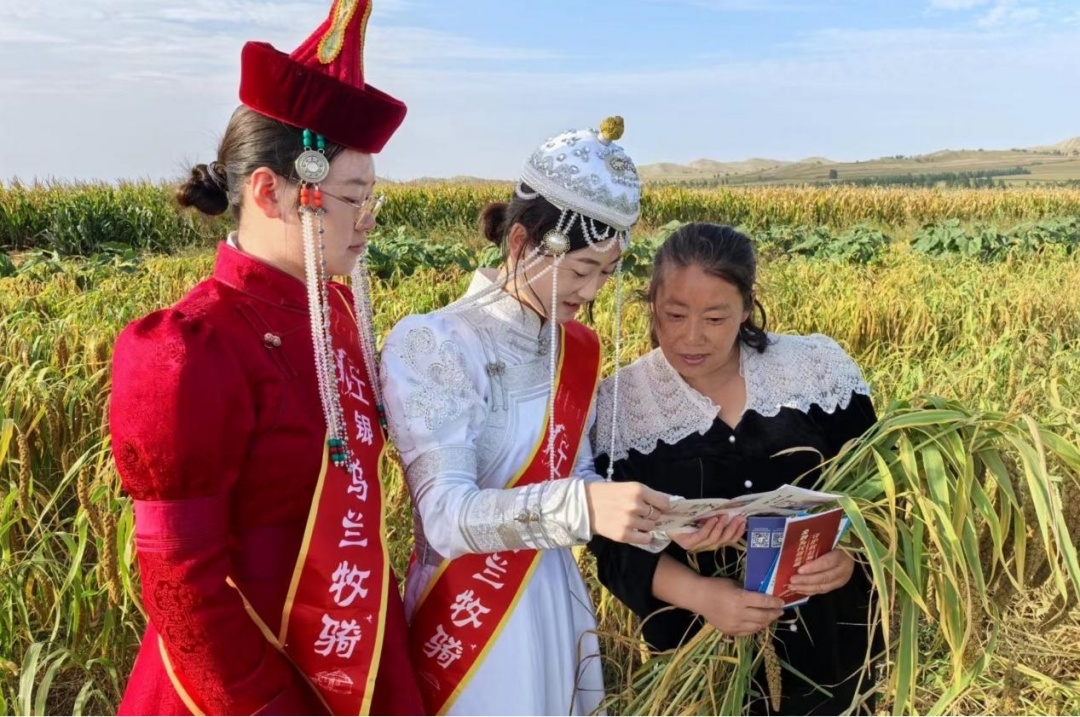 图片4.jpg