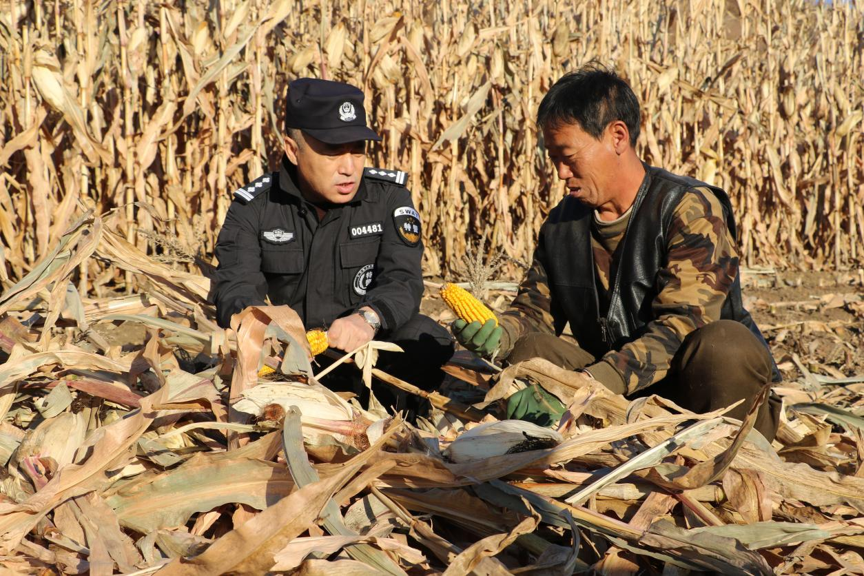 1761896066134272.png 1761896066134272.png