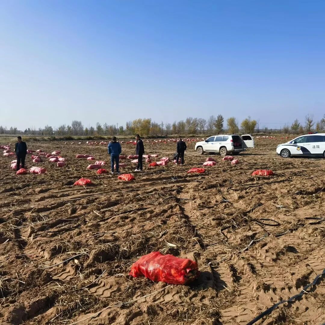 1764036305269034.jpg 微信图片_20251125100447.jpg