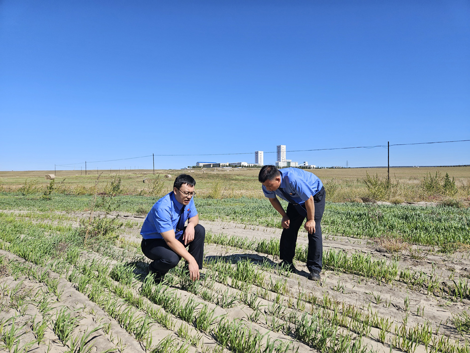 2024年9月，鄂温克族自治旗人民检察院就内蒙古蒙东能源有限公司敏东一矿西南侧采煤沉降区存在草原沙化区域治理情况开展了检察建议落实情况“回头看”专项行动.jpg