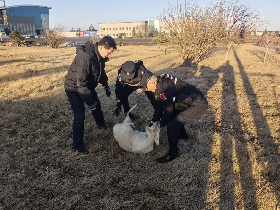 1774576336366630.jpg 微信图片_20260327094419_1587_104.jpg