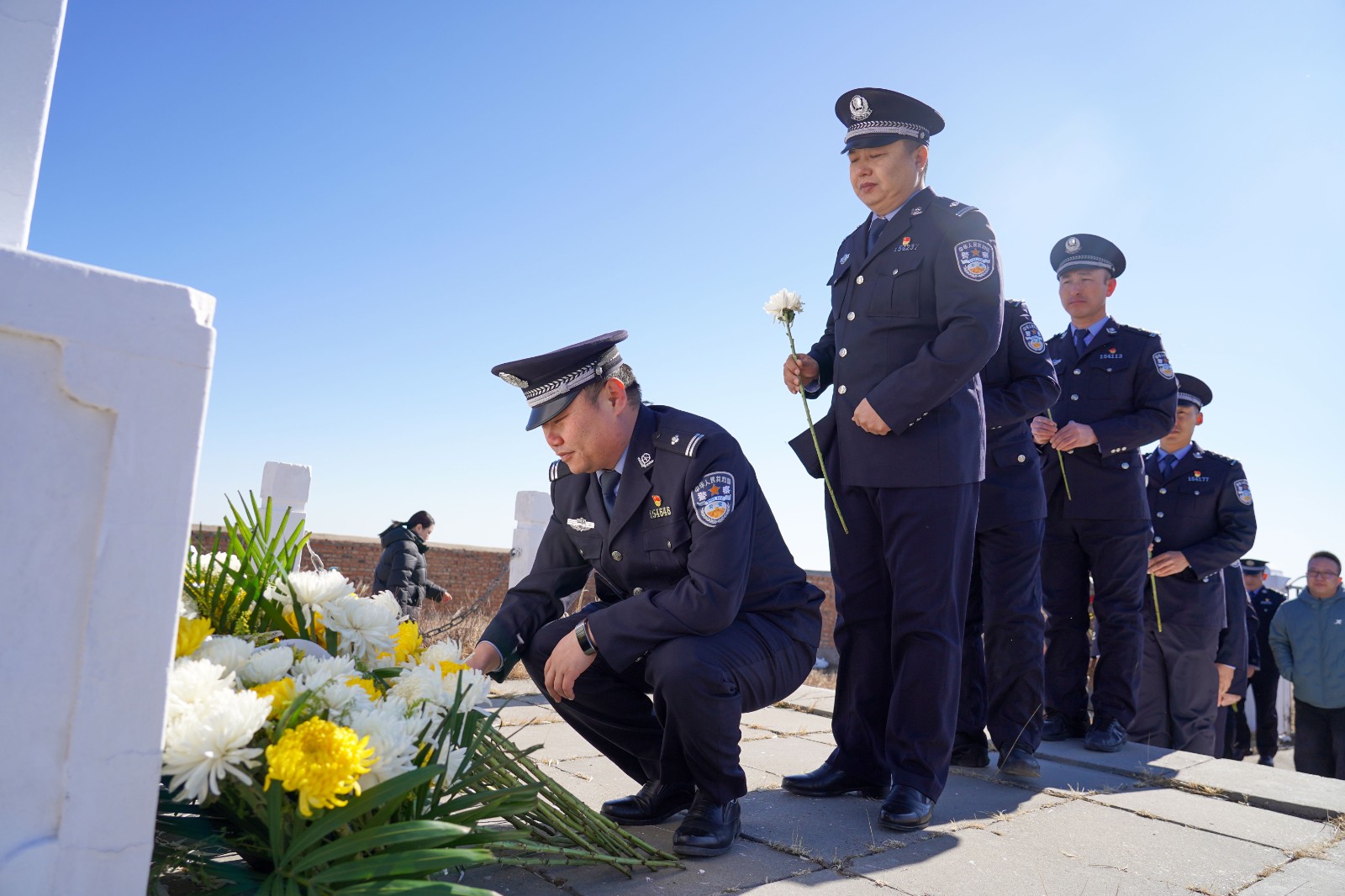 1775120118140490.jpg 1775120118140490.jpg