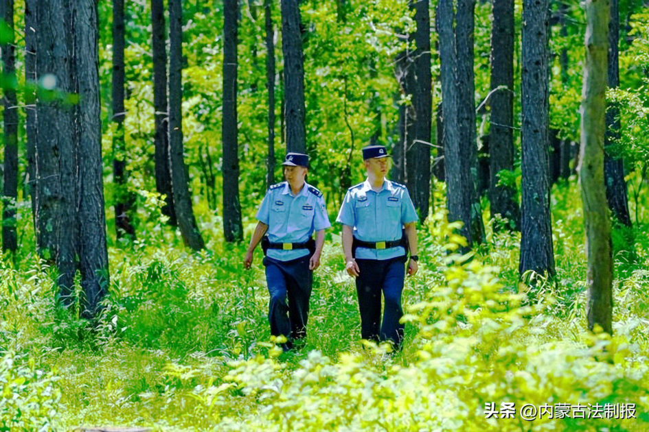 320f206407da4a3784233db5999eb98d~tplv-tt-origin-web_gif.jpeg