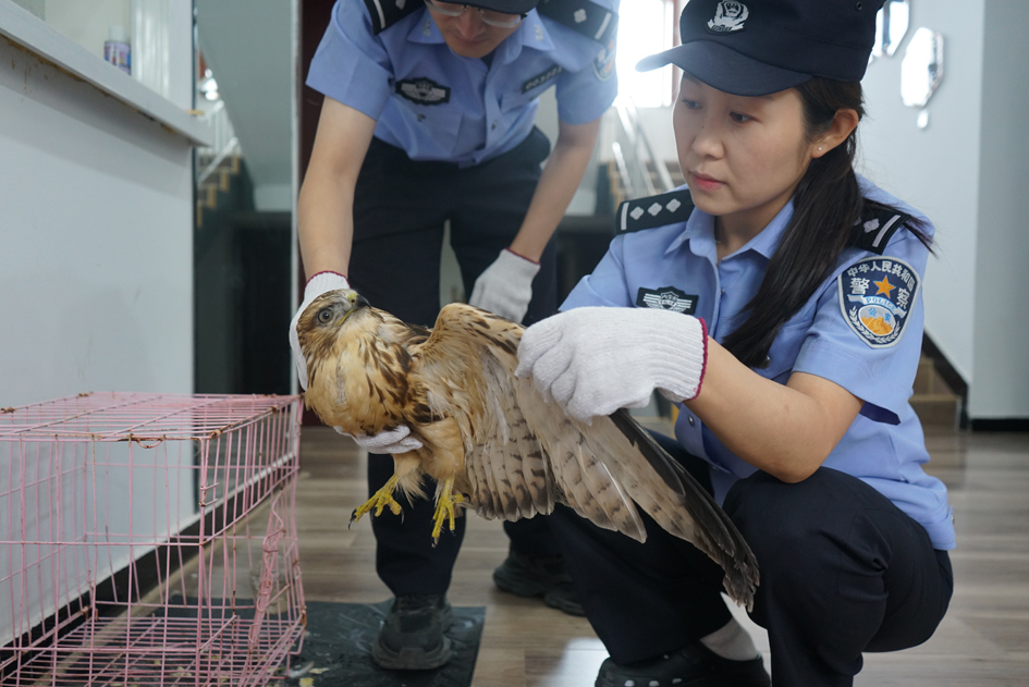 微信图片_2026-08-20_112515_955.jpg
