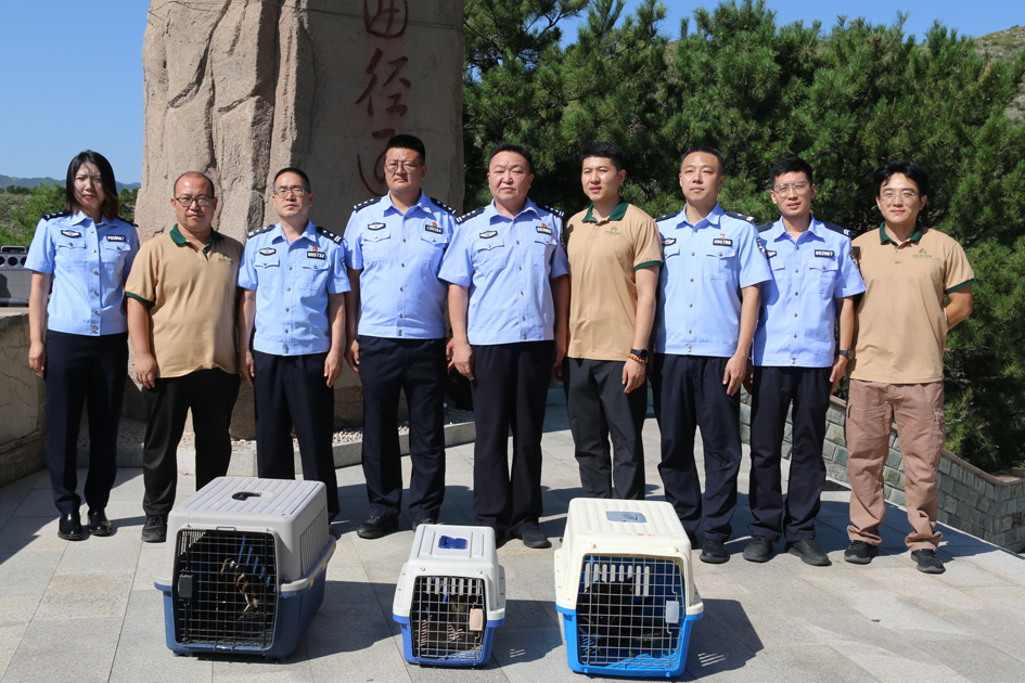 1788338368135291.jpg 微信图片_20260902162945_351_14.jpg